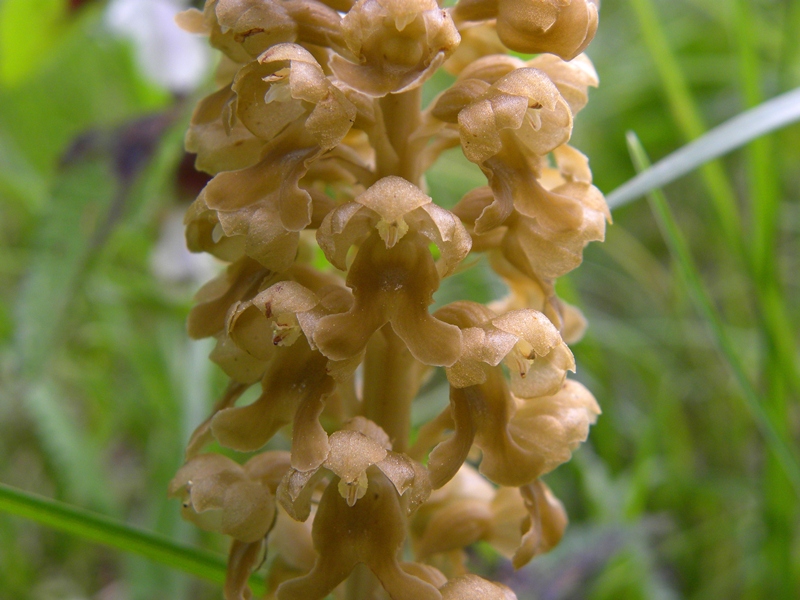 DSCN0065.JPG